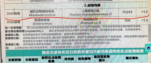 详细描述