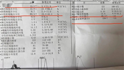 详细说明