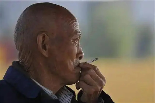 详细介绍