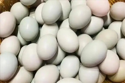 细节展示