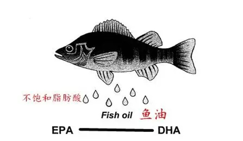 详细说明