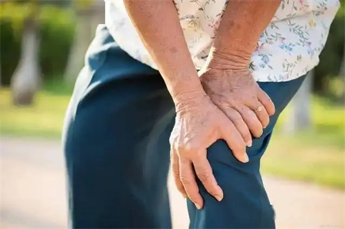 详细介绍
