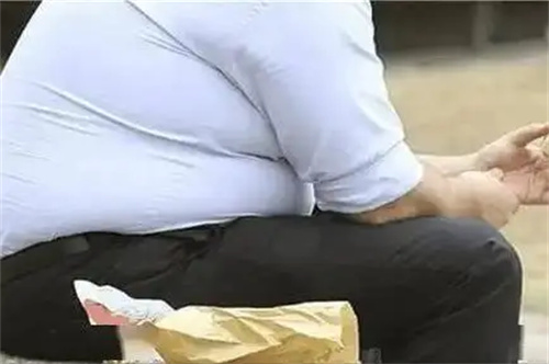详细介绍