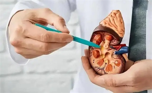 详细说明