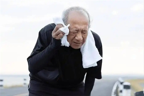 详细介绍