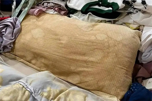 详细说明
