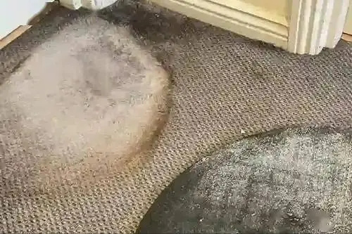 详细介绍