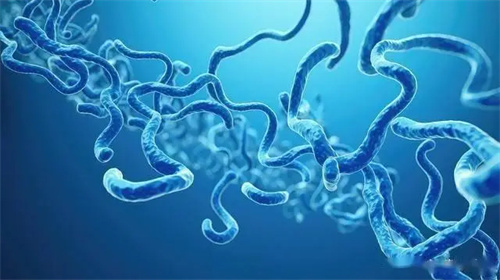 详细介绍