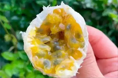 详细描述
