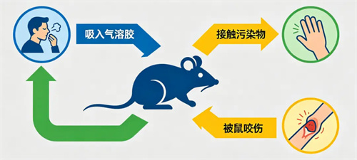 图片细节