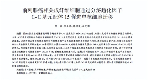 细节介绍