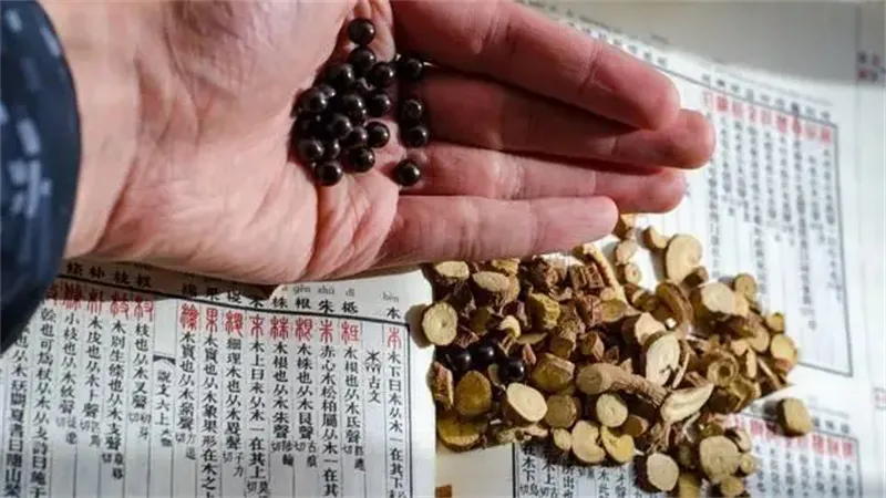 细节介绍