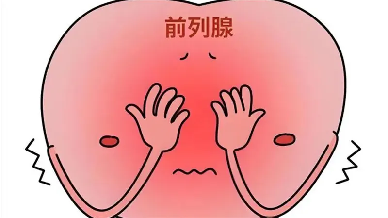 详细介绍