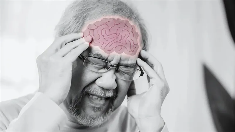 详细说明