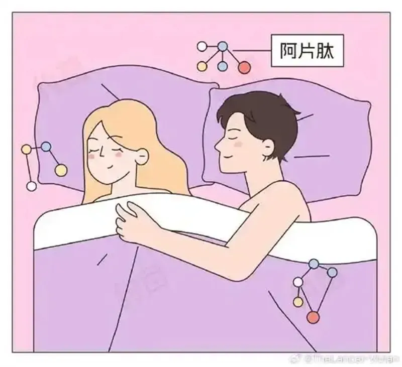 详细描述