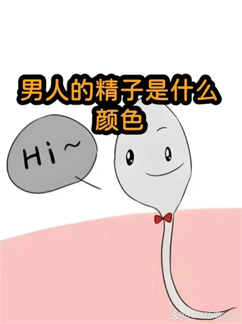 详细展示